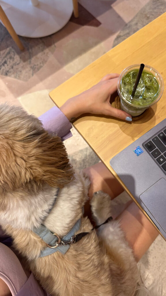 bangkok pet friendly cafe