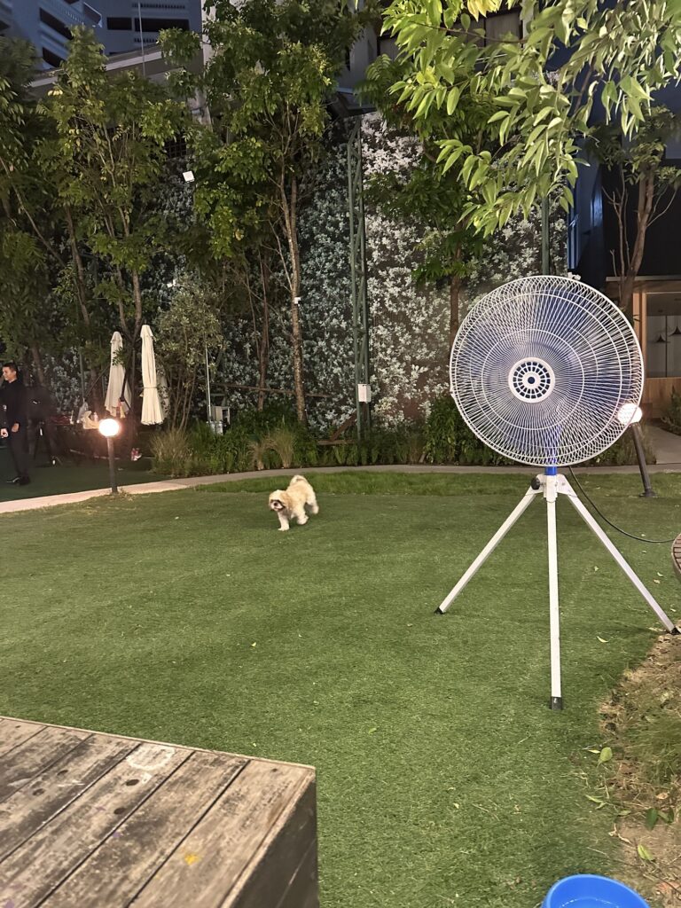 Tap yard - pet friendly